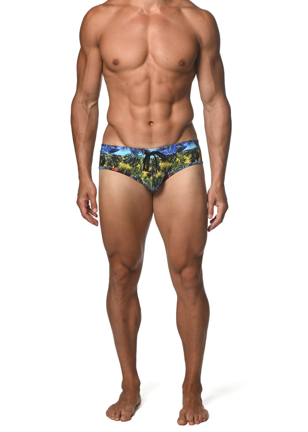 RAINBOW GRADIENT PALMS FREESTYLE SWIM BRIEF  ST-8000-91