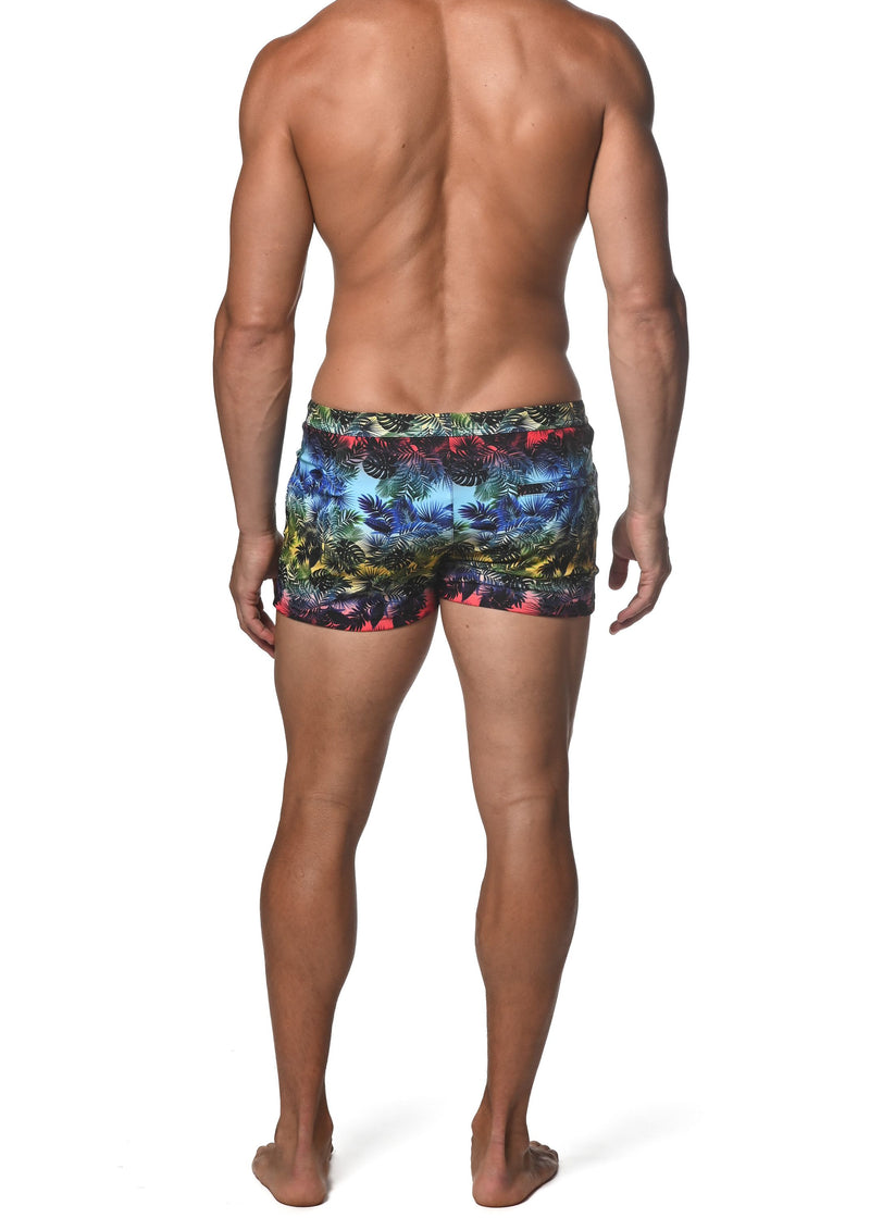 RAINBOW GRADIENT PALMS COAST SWIM SHORT  ST-8007-53