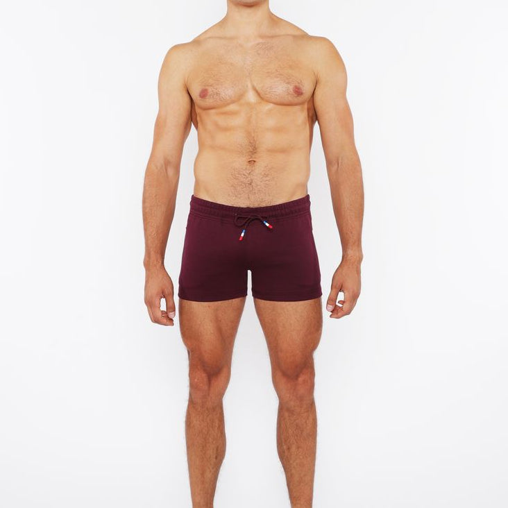 RAISIN VAULT GYM-TECH 3.5" INSEAM STRETCH SHORTS W/ 3-COLOR HEAT WELD ZIPPERS STA-10500-02