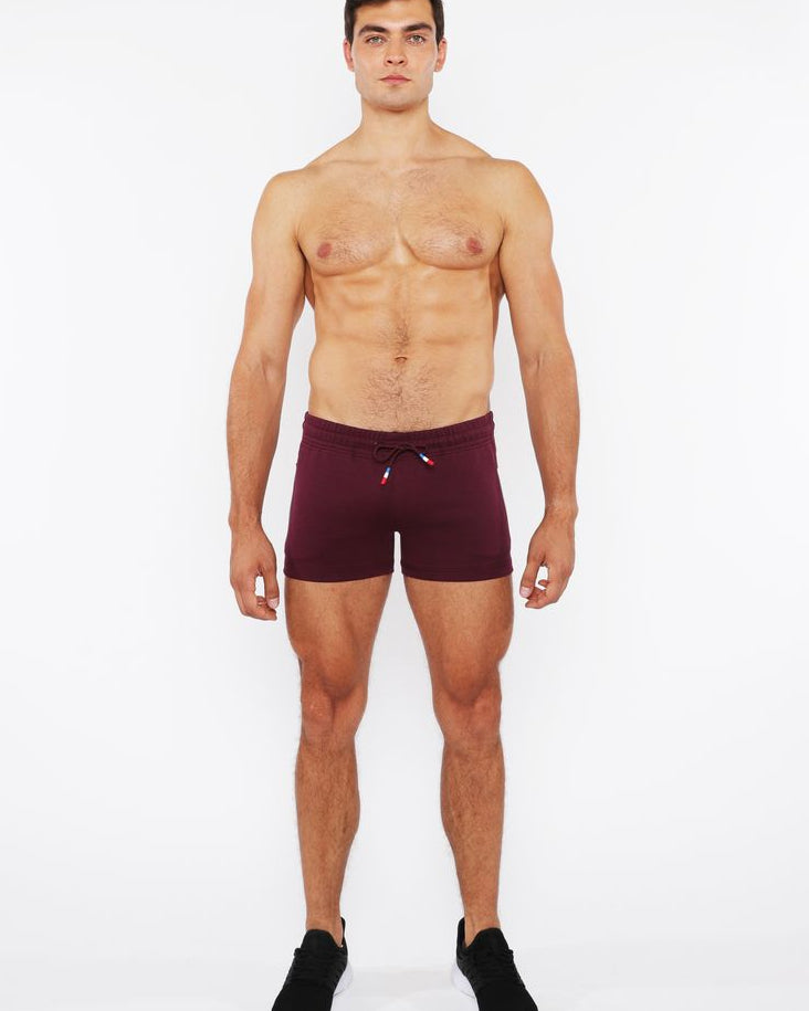RAISIN VAULT GYM-TECH 3.5" INSEAM STRETCH SHORTS W/ 3-COLOR HEAT WELD ZIPPERS STA-10500-02