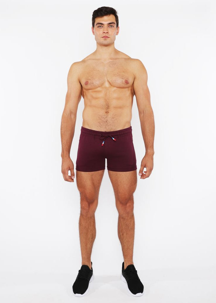 RAISIN VAULT GYM-TECH 3.5" INSEAM STRETCH SHORTS W/ 3-COLOR HEAT WELD ZIPPERS STA-10500-02
