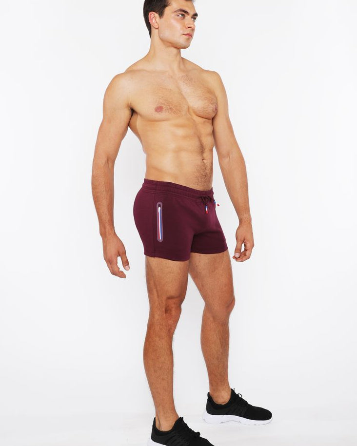 RAISIN VAULT GYM-TECH 3.5" INSEAM STRETCH SHORTS W/ 3-COLOR HEAT WELD ZIPPERS STA-10500-02