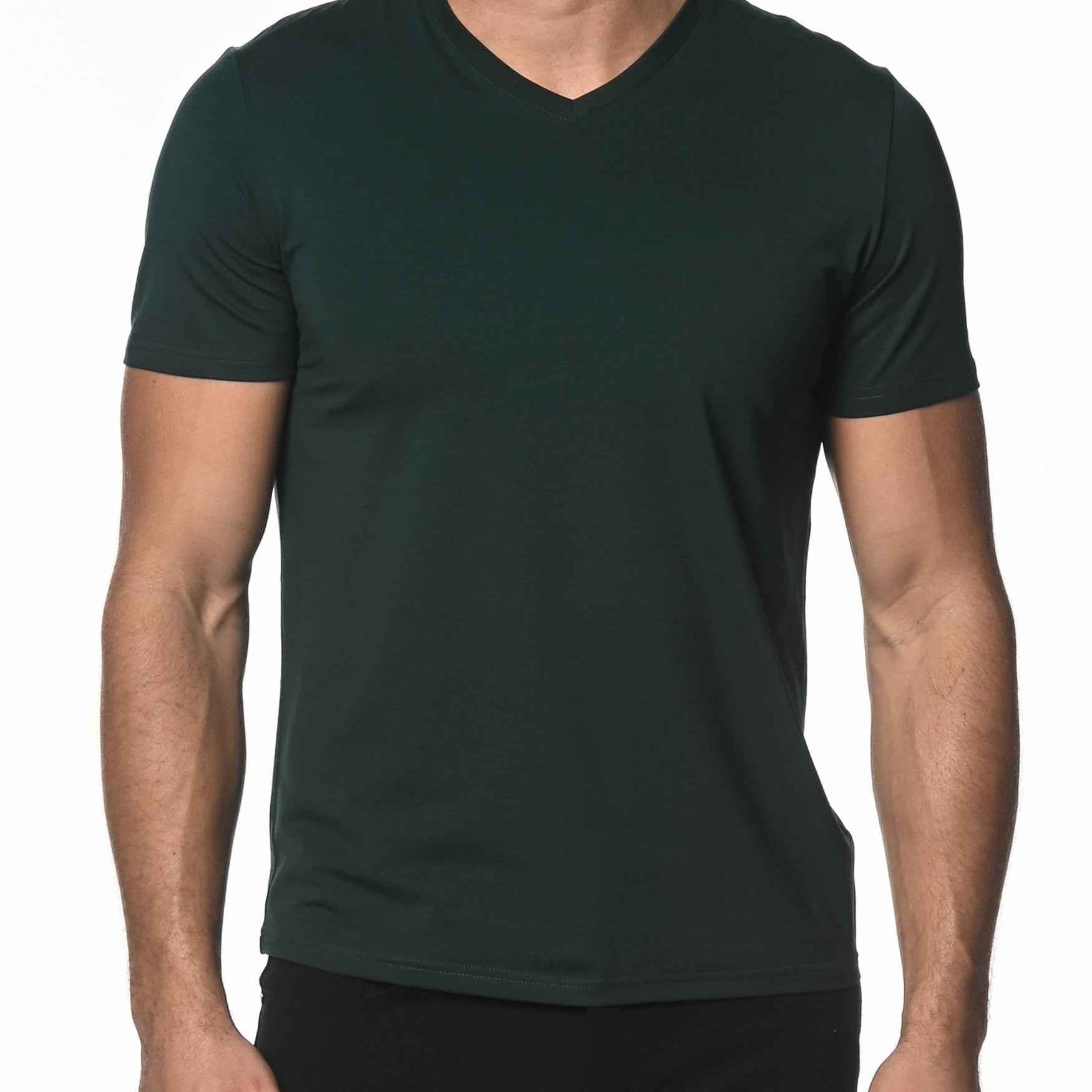 PINE V-NECK SHORT SLEEVE JERSEY T-SHIRT ST-61